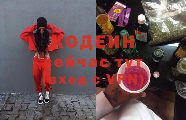 ГАЛЛЮЦИНОГЕННЫЕ ГРИБЫ Арсеньев