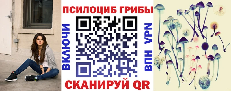 Галлюциногенные грибы Magic Shrooms  Купить  Медынь 